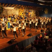 KG Fidele Bröhler Falkenjäger (11.02.12)